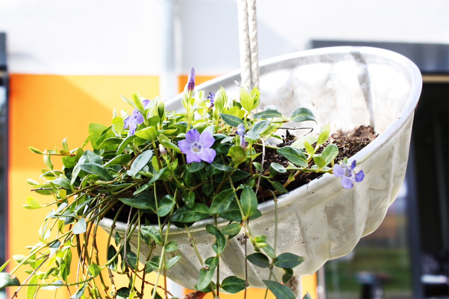 Crafte deinen Garten im Polaris